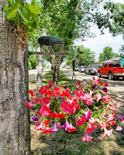 Load image into Gallery viewer, Metal Tree Branch Plant Hanger - Choose an ANIMAL