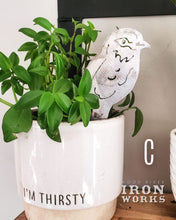 Load image into Gallery viewer, Indoor Pot Bird Stakes / Plant Pot Decoration
