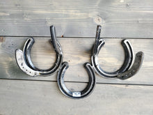 Load image into Gallery viewer, Horseshoe Coat Rack