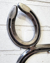 Load image into Gallery viewer, Horseshoe Fox