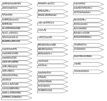 Load image into Gallery viewer, Metal Heavy Duty Garden Stakes
