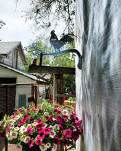 Load image into Gallery viewer, Metal Tree Branch Plant Hanger - Choose a BIRD
