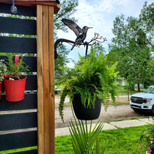 Load image into Gallery viewer, Metal Tree Branch Plant Hanger - Choose a BIRD
