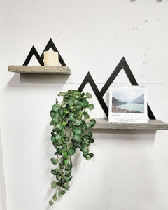 Metal Mountain Framed Floating Shelf