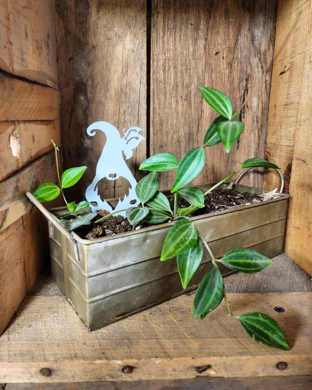 decorative stakes for potted plants Indoor Pot Gnome Stakes / Plant Pot Decoration – Wood River Iron Works