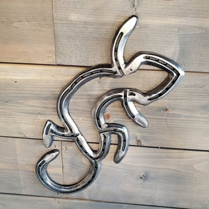 Horseshoe Gecko
