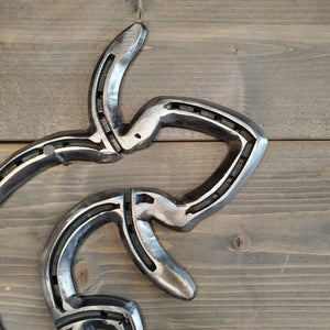 Horseshoe Gecko