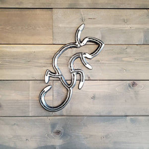 Horseshoe Gecko