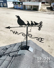 Load image into Gallery viewer, Weathervane, Metal Pigeon with 3 Babies, Wind Vane
